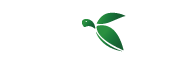 TurtleBet
